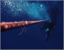 Discover Scuba Diving