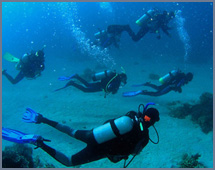 Discover Scuba Diving