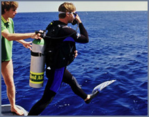 Discover Scuba Diving