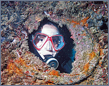Discover Scuba Diving
