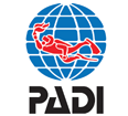 Padi